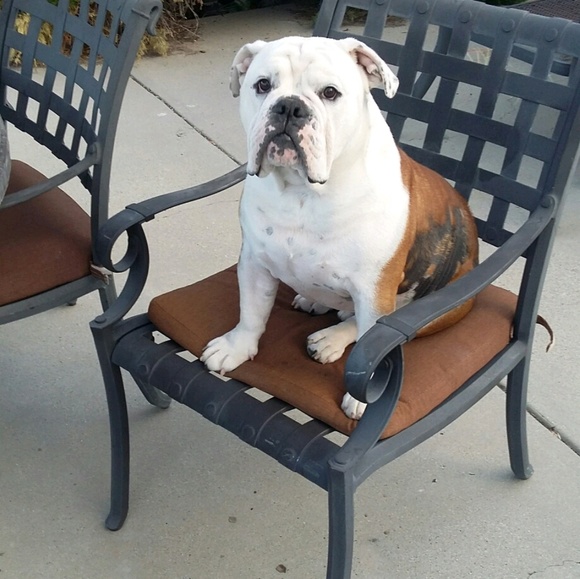 Meet your Posher, Deb - Picture 1 of 1